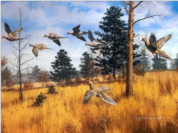 ave migratoria en otoño Pinturas al óleo